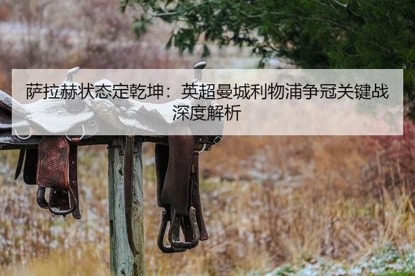 萨拉赫状态定乾坤：英超曼城利物浦争冠关键战深度解析