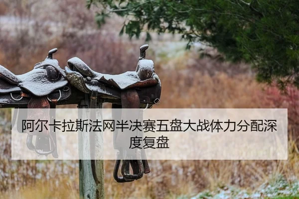 a-er-ka-la-si-fa-wang-ban-jue-sai-wu-pan-da-zhan-ti-li-fen-pei-shen-du-fu-pan-2-569.jpg