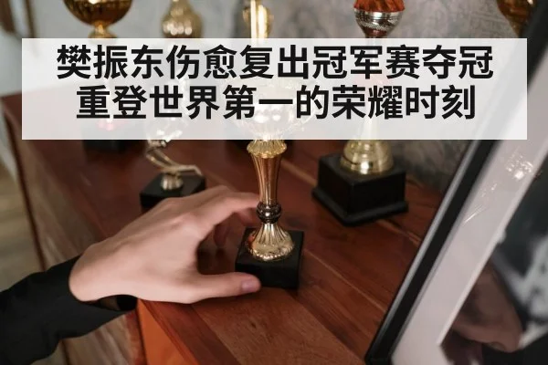 樊振东伤愈复出冠军赛夺冠重登世界第一的荣耀时刻