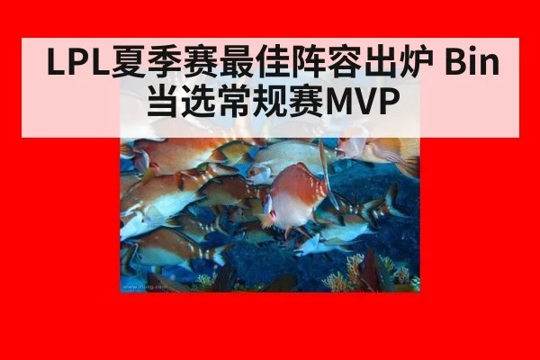 LPL夏季赛最佳阵容出炉 Bin当选常规赛MVP